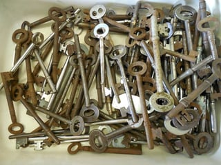 skeleton-689865_640.jpg