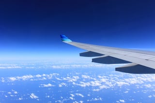 What to Consider Before Flying South for The Winter
