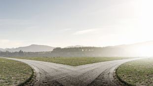 Deciding Whether to Dispute your Tax Assessment